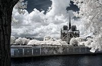 Notre-Dame de Paris