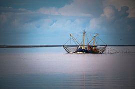 Un cotre à crevettes dans la mer des Wadden avec des filets à la mer.