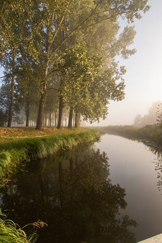 De Halsche Vliet op een mistige herfstochtend