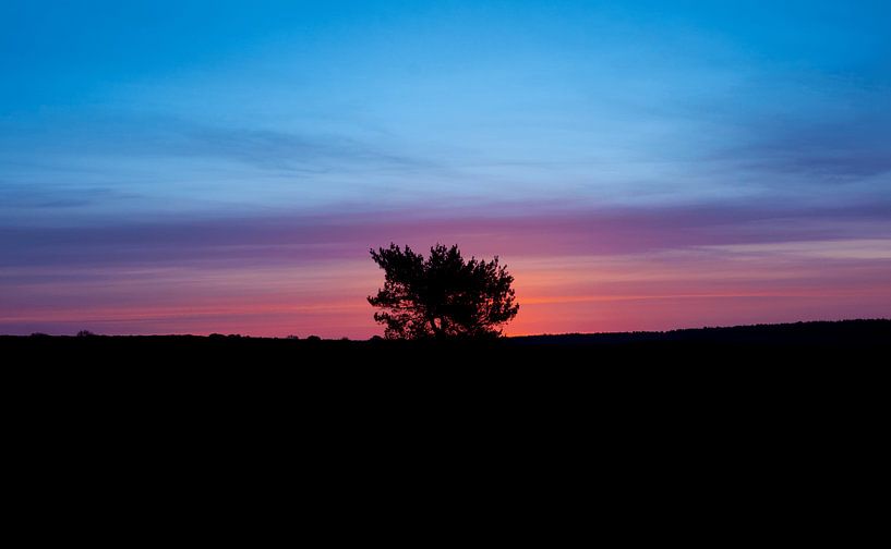 Deelerwoud landschap gouden uur silhouette van Jor DieFotografie