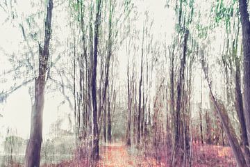 Promenade hivernale en forêt sur Frans Nijland