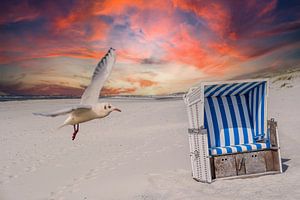 ruhiger Tag am Strand von Animaflora PicsStock