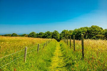 Wunderschöne Entdeckungstour durch die einzigartige Landschaft der Normandie - Saint-Pierre-en-Port - Frankreich von Oliver Hlavaty