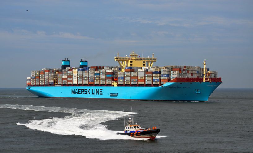 Maersk MC-Kinney Moller von Martin Van der Pluym