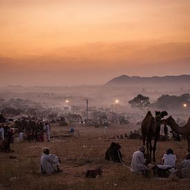 Pushkar Kamelmesse von TravelLens Photography