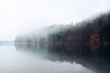 winter aan de Alpsee Duitsland | minimalistisch | ruige natuur van Laura Dijkslag