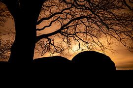 Hunebed D21 bei Sonnenuntergang