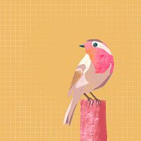 Robin, bird illustration