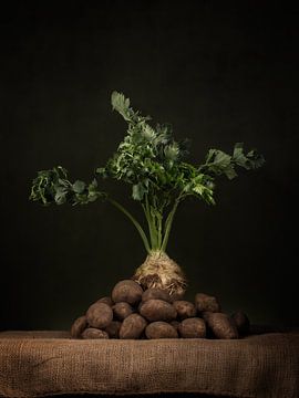 Légumes d'hiver - Céleri-rave avec pommes de terre frisonnes sur Mariska Vereijken