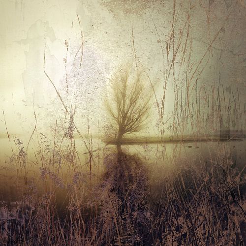 Biesbosch-Landschap in de mist 1