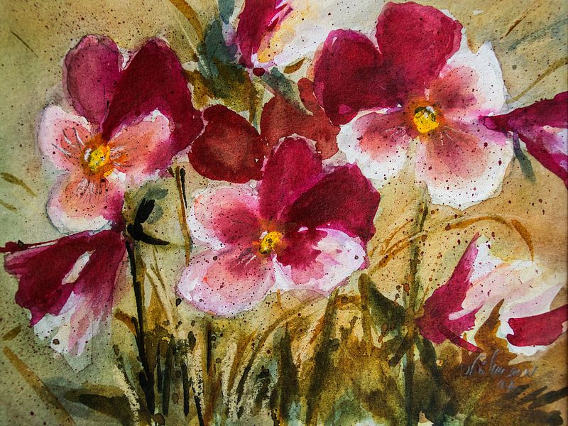 Stiefmütterchen von Christine Nöhmeier