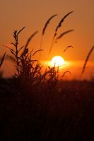 Zonsondergang