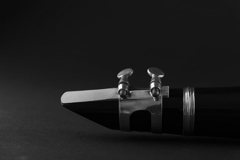 Klarinette schwarz/weiß von Anita Visschers