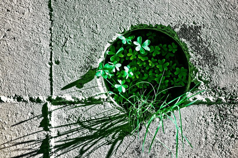 Nature comes to you by Arie Jan Kraai