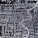 Kaart van Haarlem  van Stef van Campen thumbnail