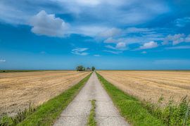Boerderij aan de Waddendijk in het noorden van Friesland van Harrie Muis