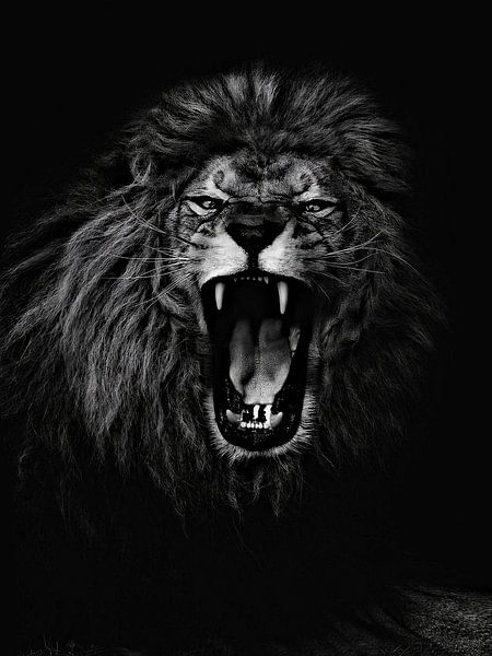 Iam The King by Yoga Pranata