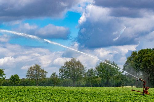 Am Stadtrand von Roermond besprüht ein Landwirt sein Land. Alle Wassermanager in den Niederlanden se