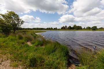 Natuurgebied de Kampina in Noord Brabant