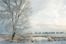 East Frisia – The Eternal Sea – Winter Scenes by Naturfotograf in Ostfriesland
