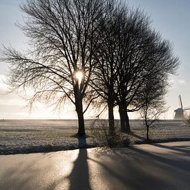 Winterochtend 2 by Laurens Morel