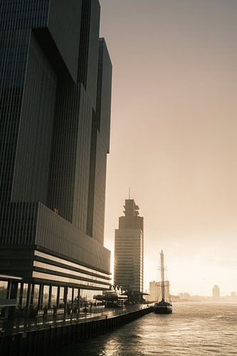 The Rotterdam Glowing