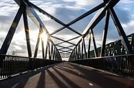 Asymmetrischer Blick über die Fahrradbrücke "De Maasover" von Patrick Verhoef Miniaturansicht