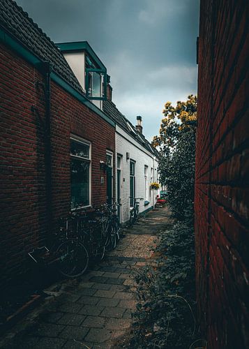 Utrecht Street I