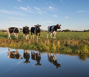 Typical Dutch by Raoul Baart