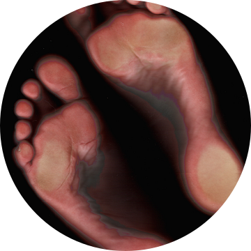 feet scanning van stefanie hoefer