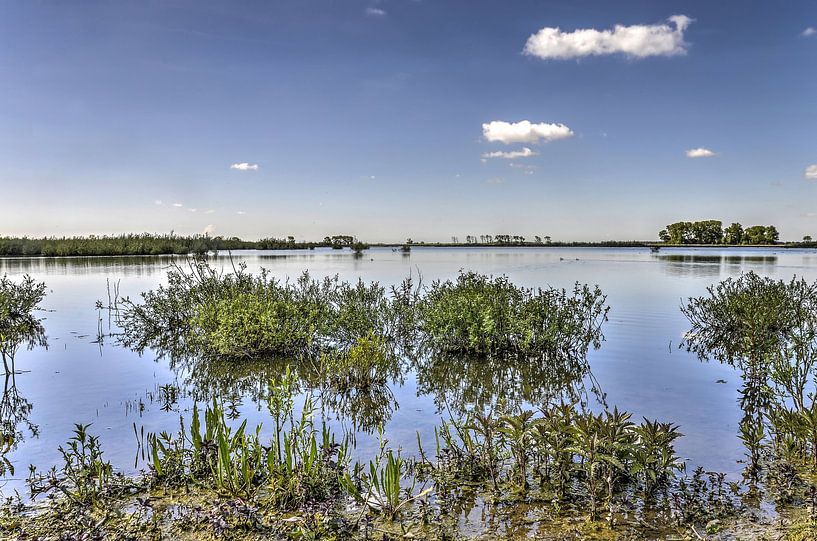 Waterrijk Tiengemeten van Frans Blok