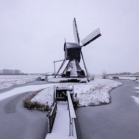 Ansichtkaart uit Nederland - Noordeveldsemolen, Dussen van Sugar_bee_photography