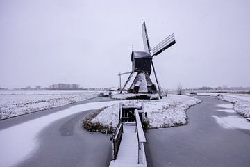 Postcard from the Netherlands - Noordeveldsemolen, Dussen
