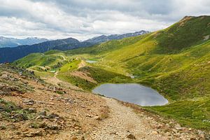 Frühlingshafte Blütenvielfalt in den Vinschgauer Bergen – Alpglöckchen, Wollgras und alpine Wiesen vor eindrucksvoller Gipfelkulisse.