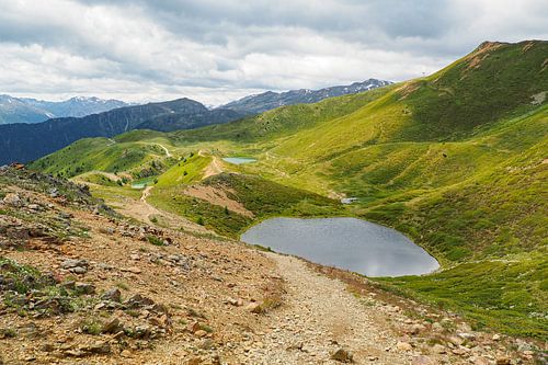 Lentebloemenpracht in de bergen van Vinschgau – alpenklokjes, wollegras en alpenweiden tegen een indrukwekkende achtergrond van bergtoppen.