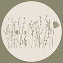 Scandinavische weide Minimalistische wilde bloemen in saliegroen nr. 6 van Dina Dankers thumbnail