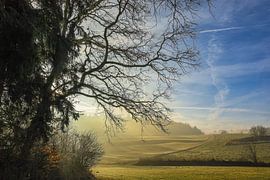Soleil et brouillard - paysage automnal près de Stockach - district de Constance sur BlattArt - Christine Horn