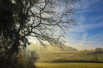 Zon en mist - herfstlandschap bij Stockach - district Konstanz van BlattArt - Christine Horn