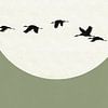 Zonsondergang Kraanvogel - Groen van Studio Hinte