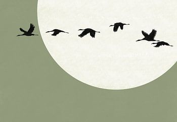 Sonnenuntergangskranich - Grün