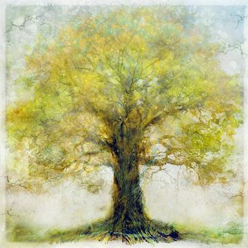 Chêne sur Joan Engels