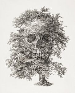 The Tree of Death