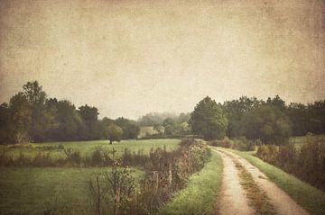 Country landscape by Dan Courtice
