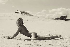 Ich beobachte dich von Kees de Knegt