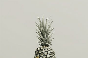 Minimalistische ananas van Felix Brönnimann