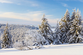 Zauberhafter Wintermorgen