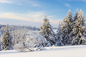 Zauberhafter Wintermorgen