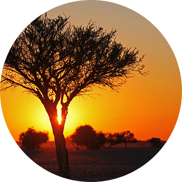 Sunrise in Botswana van W. Woyke