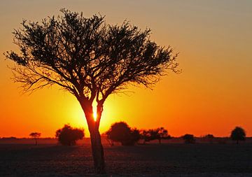Sunrise in Botswana van W. Woyke