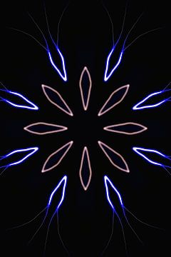 luminous Flower N.3 van Olis-Art
